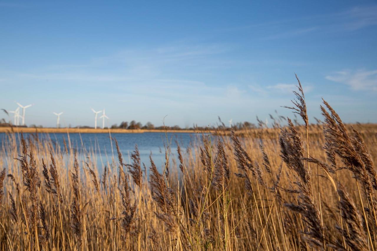 Daenisches Blockhaus Direkt Am Wangermeer Schillig Exteriér fotografie